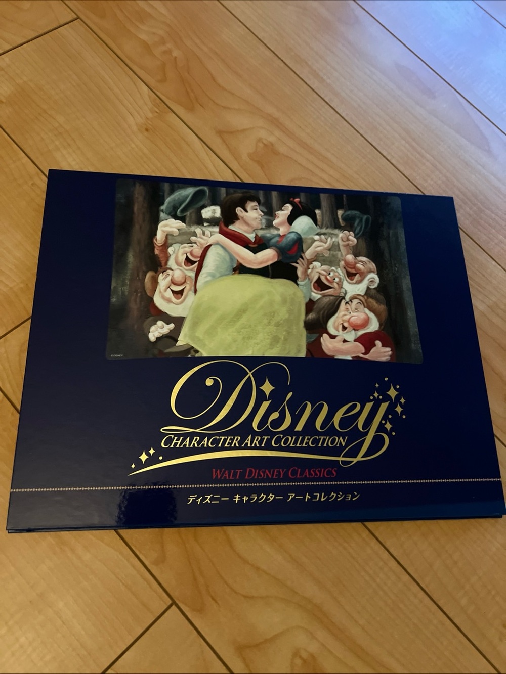 Disney Character Art Collection Book Mickey Mouse Nakabayashi Co Japan New